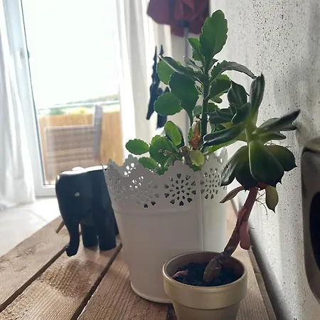 Apartamento Schoene In Ruhiger Laendlicher Lage Heidenheim (Bavaria)