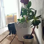 Apartman Schoene In Ruhiger Laendlicher Lage Heidenheim (Bavaria)