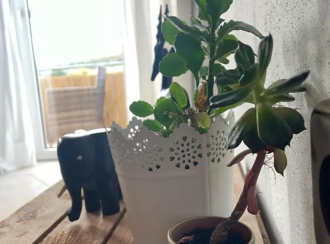 Apartmán Schoene In Ruhiger Laendlicher Lage Heidenheim (Bavaria)